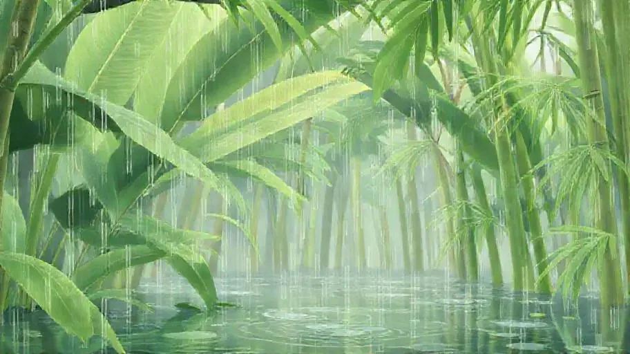 雨打芭蕉 - 小岛电影竹影清风影像