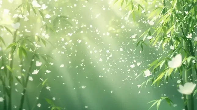 竹海晨雾 - 小岛电影竹影清风影像